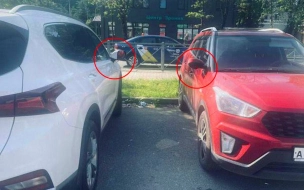 Неадекватный мужчина повредил около 20 авто во Всеволожске 