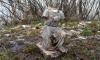 Скульптуру каменного ангела из Полежаевского парка передали музею городской скульптуры