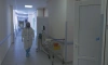 За сутки в Петербурге госпитализировали почти 300 человек