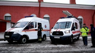 Из горящей квартиры в Петродворцовом районе Петербурга эвакуировали трех детей и женщину