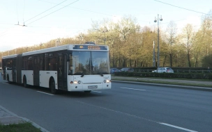 Обанкротился перевозчик, который возит автобусы в Пулково