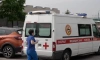 На трёхлетнего жителя Сербии упала металлическая дверь в Ленобласти