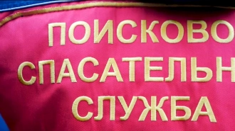 Волонтеры "Лизы Алерт" рассказали об итогах 2020 года