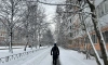 В Петербурге 21 ноября местами пройдёт небольшой снег