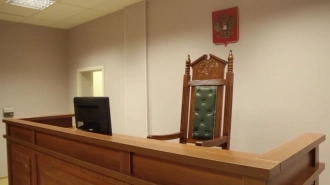 Петербургский суд отправил несовершеннолетнего в центр временного содержания за маты и русофобию