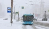 Почти 100 электробусов и 253 автобуса закупит Петербург до конца 2024 года