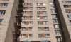 Житель Приморского района выбросил с 9 этажа собаку на глазах у ребенка