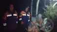 Двух заблудившихся женщин вывели из леса в Волховском ...