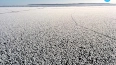 Ледяные цветы "распустились" на Выборгском заливе
