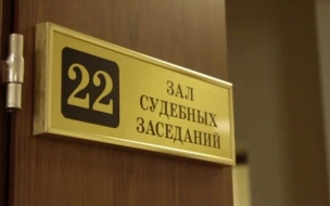 Врачам из Петербурга дали до 11 лет тюрьмы за торговлю детьми