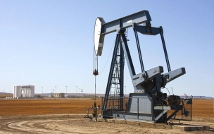 Впервые за два года стоимость нефти Brent выросла до 75 долларов 