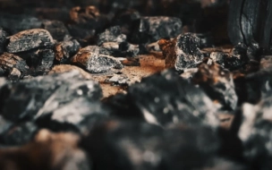 На месте сгоревшей хозяйственной постройки в Ленобласти нашли человеческие останки