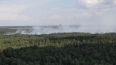 В Ломоносовском районе военные заливают тлеющий лес ...