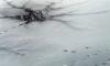 На льду Финского залива спасатели обнаружили мертвого пенсионера