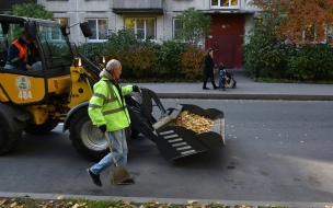 Петербуржцы до 10 ноября могут оценить качество уборки в своих районах