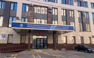 В Кировске проводится доследственная проверка по факту избиения подростками учительницы 