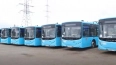 В Петербурге выделят 30 участков под стоянки автобусов