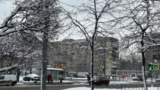 В Петербурге 25 декабря пройдёт небольшой снег