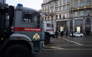 Сотни участников митинга в Петербурге остались у Гостиного двора