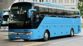 Поездки на автобусе в Геленджик, Симферополь и Краснодар пользуются высоким спросом у петербуржцев
