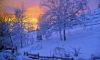Небольшой снег и порывистый ветер обещают синоптики жителям Ленобласти 13 февраля
