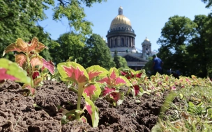 В Петербурге июль закончится дождями