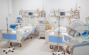 В Петербурге открылся первый частный коронавирусный госпиталь для беременных