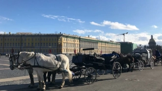 Стало известно, нужно ли платить курортный сбор в Петербурге гостям из Ленобласти 