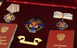 В Петербурге две многодетные семьи получили орден "Родительская слава"