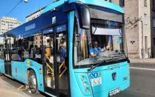 Автобусы из Ломоносова и Зеленогорска скорректировали маршруты под расписание электричек