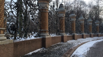 В Петербурге 23 января местами пройдёт небольшой снег