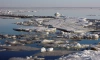 В Петербурге за сутки более 100 человек перебросили со льда на сушу