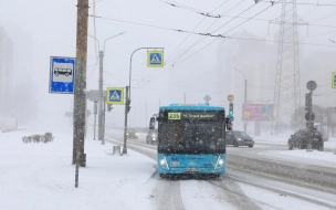 Общественный транспорт Петербурга начали готовить к зиме