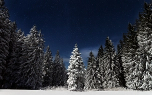 В Ленобласти 10 декабря ночью ожидаются снег и туман