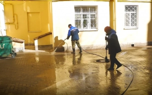 Мусор с улиц Петербурга убирали более тысячи дворников
