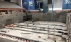В Центре водных видов спорта "Невская волна" отремонтируют прыжковую чашу за 120 млн рублей