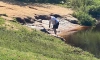 В реке Тихвинке обнаружены тела спрыгнувших с дамбы мужчин