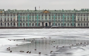Петербург оказался во власти циклона "Луис" 15 марта