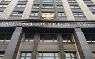 В Госдуме призвали Зеленского не мнить себя неприкасаемым