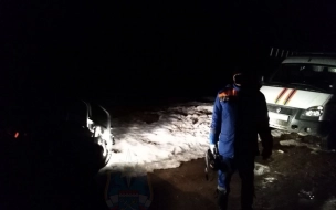 Спасатели нашли тело заблудившегося мужчины в районе посёлка Зеленец