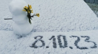 В Петербурге отмечен самый ранний временный снежный покров в XXI веке