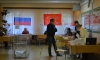 Петербургскому омбудсмену поступило почти 300 сообщений о нарушениях на выборах