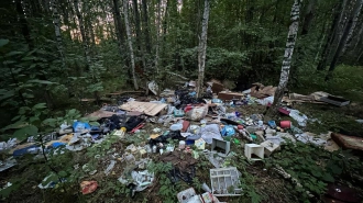 Природоохранная прокуратура Петербурга добивается ликвидации свалки в Сестрорецке