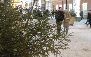 В новогоднюю ночь в Петербурге пойдет снег