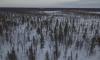 В Ленобласти 28 декабря ожидается до -7 градусов мороза