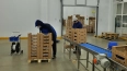 В июле в Белоруссию отправили 31,2 тонны шампиньонов ...