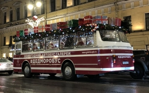 Жители Петербурга стали больше тратиться на новогодние развлечения