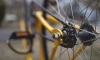 В Тосненском районе 18-летний велосипедист погиб под колёсами BMW