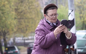 Резкое увеличение кибермошенничества в Санкт-Петербурге тревожит власти