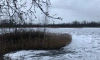 В Ленобласти 29 января пройдет мокрый снег